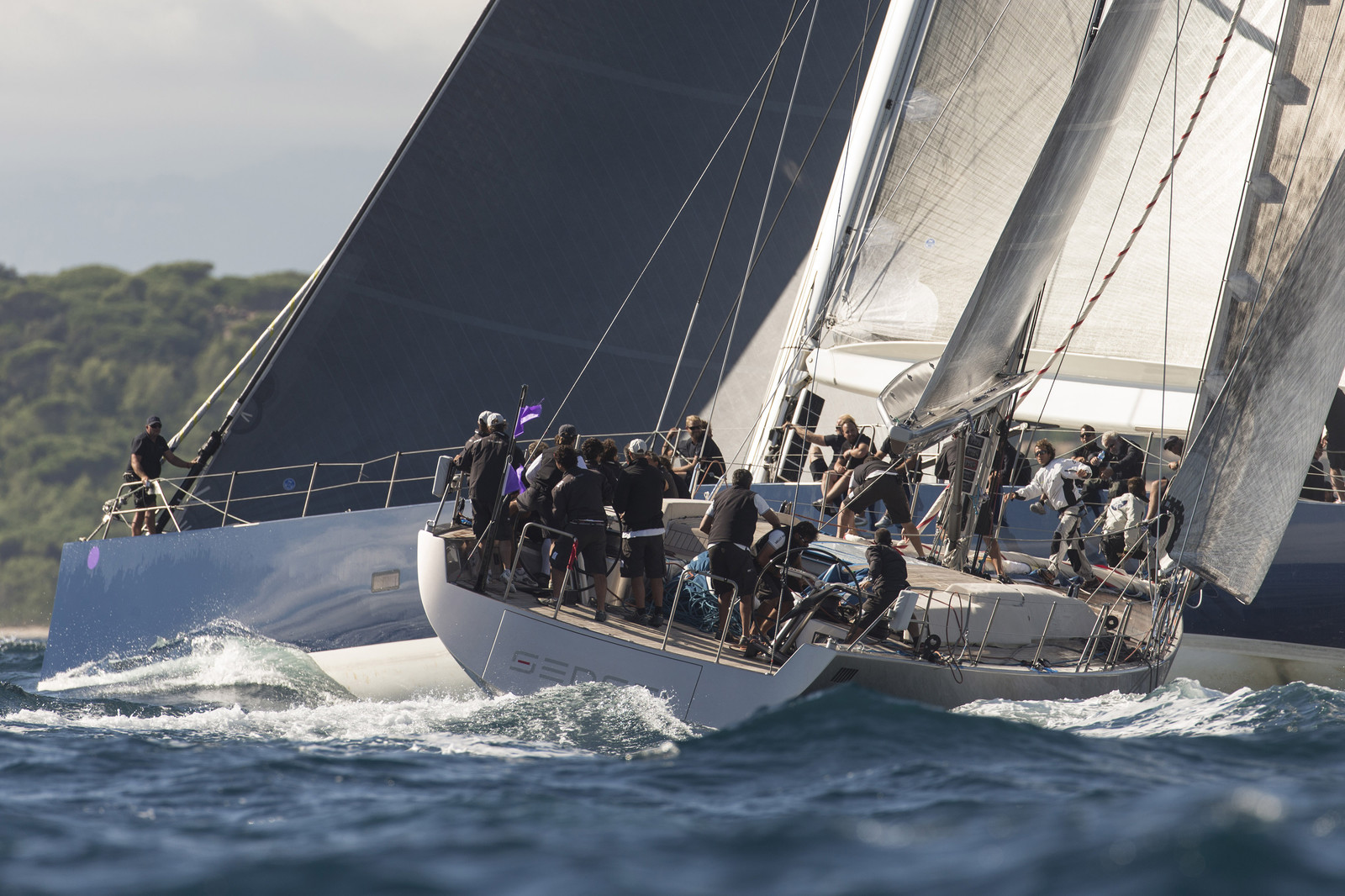 GMR_VST013D6_2644.jpg GMR_VST013D6_2644.jpg