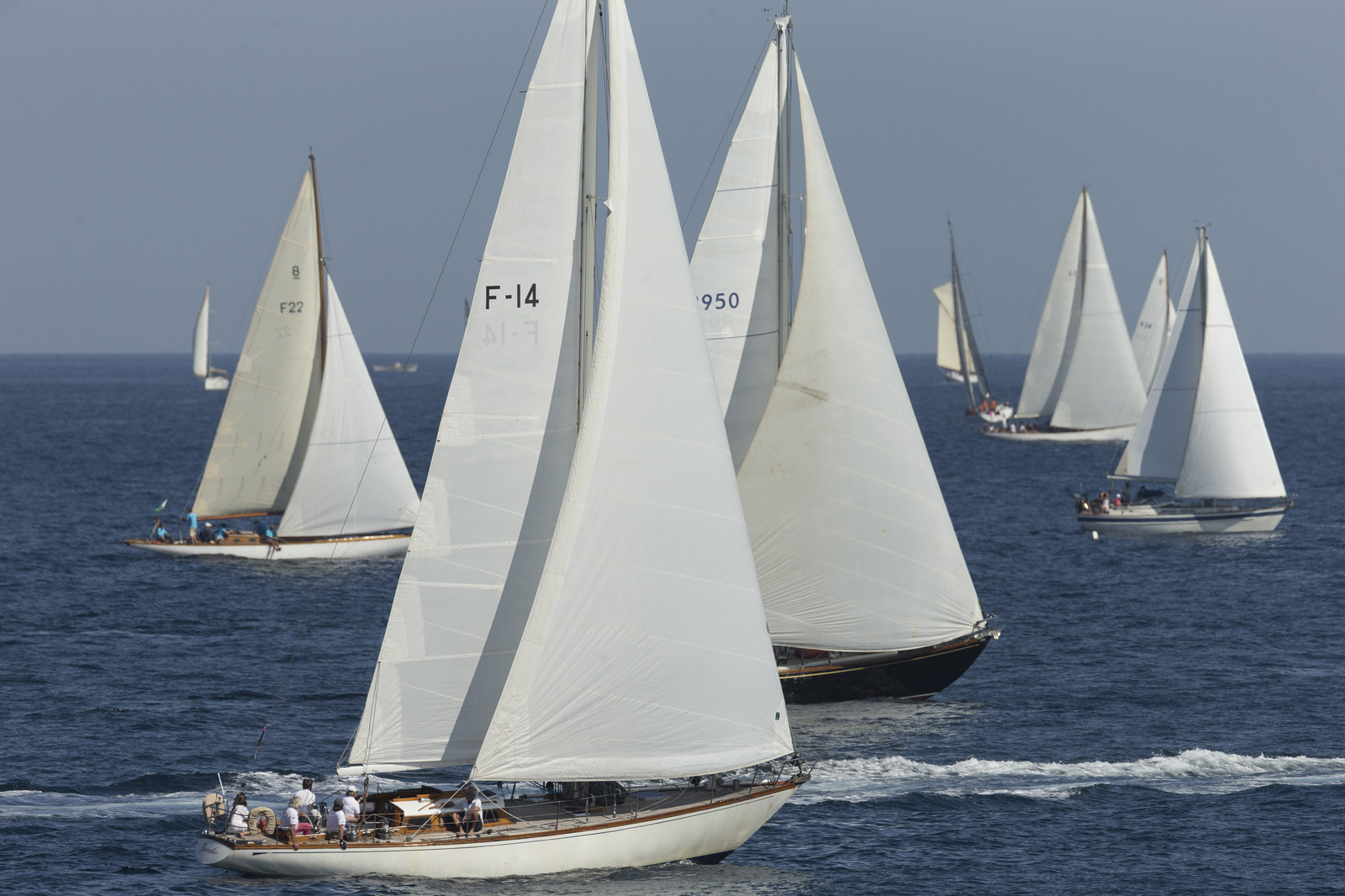 02 10 2014, Saint-Tropez (FRA,83), Voiles de Saint-Tropez 2014, Day 4, 02 10 2014, Saint-Tropez (FRA,83), Voiles de Saint-Tropez 2014, Day 4,