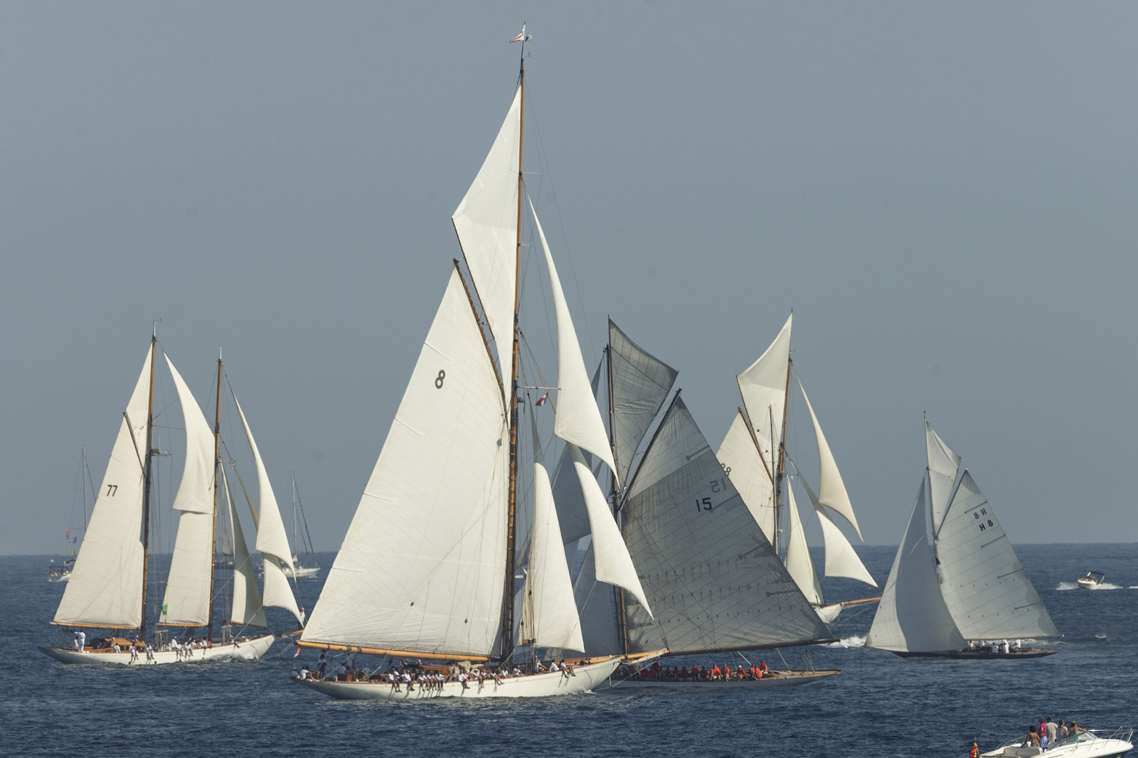 02 10 2014, Saint-Tropez (FRA,83), Voiles de Saint-Tropez 2014, Day 4, 02 10 2014, Saint-Tropez (FRA,83), Voiles de Saint-Tropez 2014, Day 4,